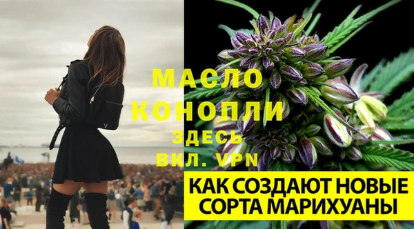 метадон Верея